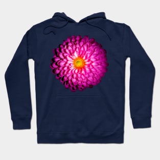 Purple Flower Hoodie